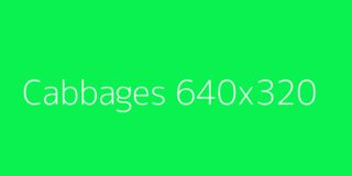 Locations API Bruno Tests